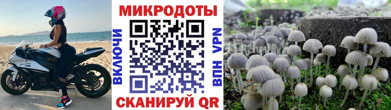 Галлюциногенные грибы ЛСД  Алексеевка 